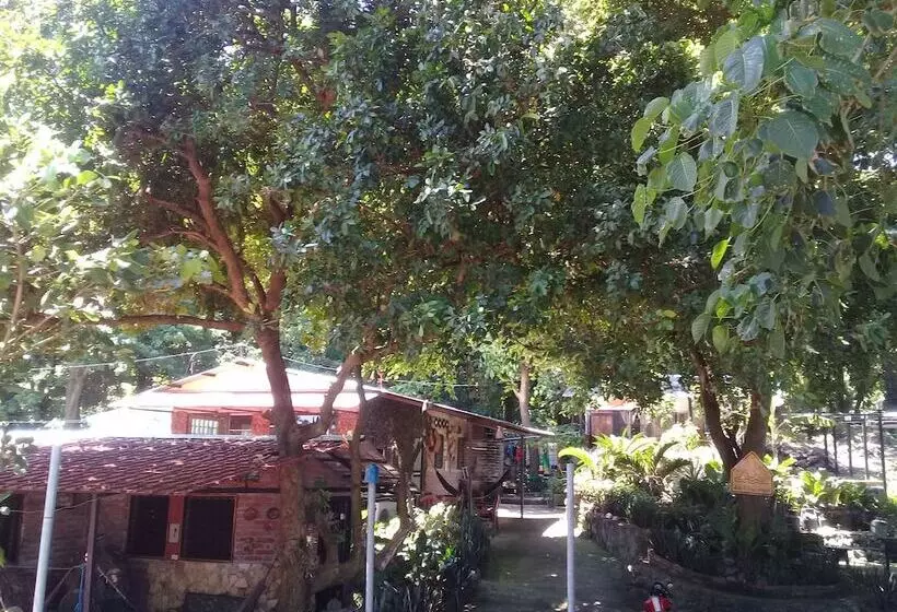 Hostal La Chiponga