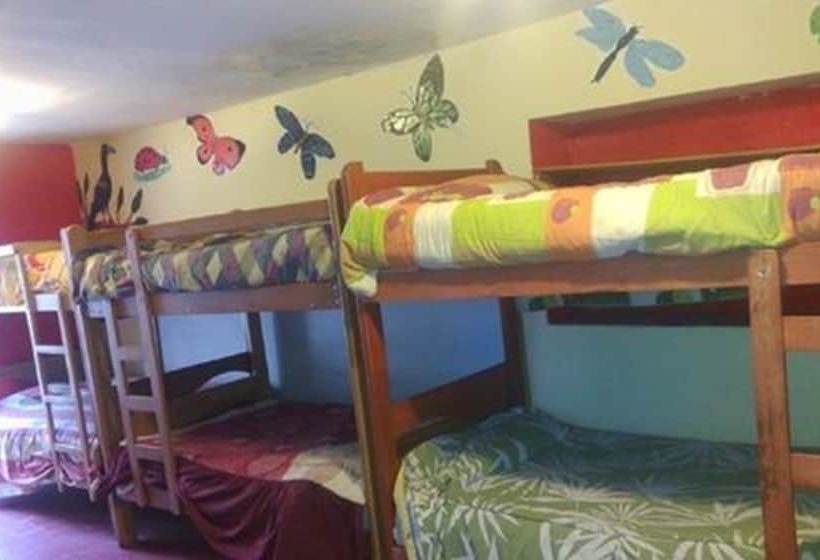 Hostel Shlomi