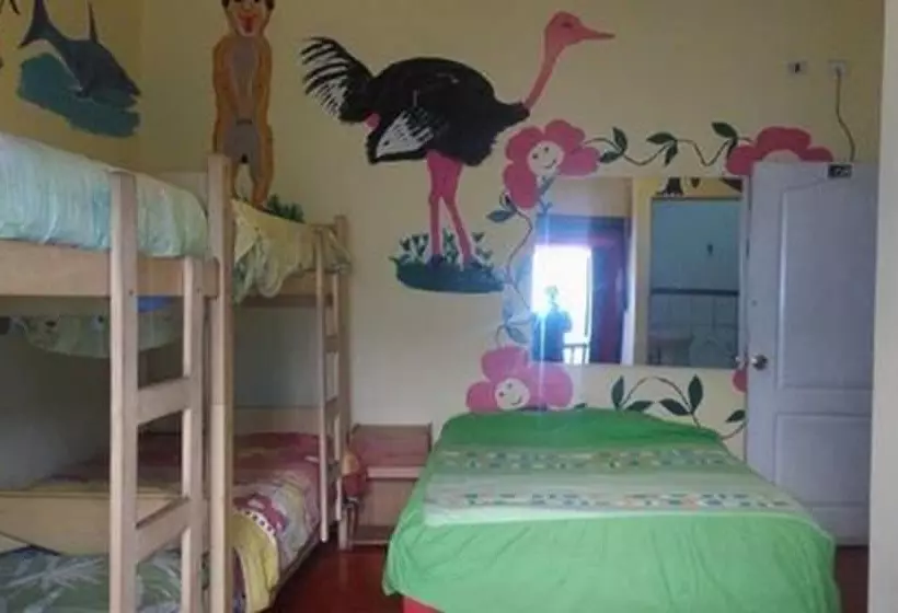 Hostel Shlomi