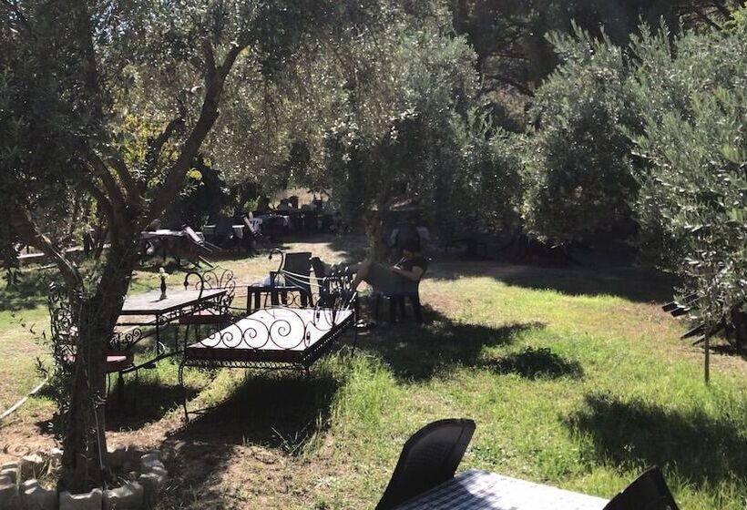 酒店 Cukurvadi Thermal