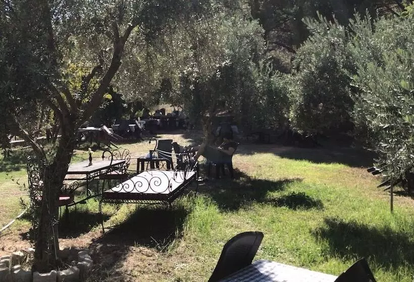 Hotelli Cukurvadi Thermal