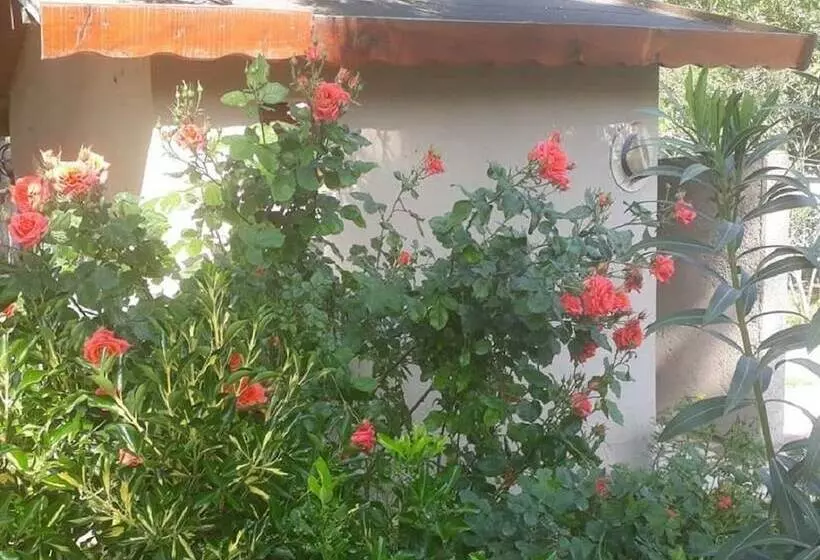 Hotelli Cukurvadi Thermal