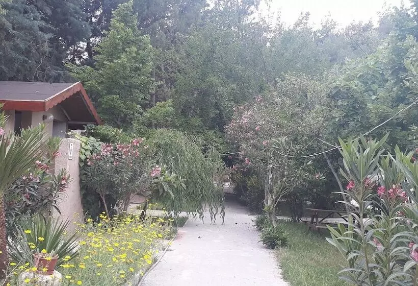 Hotelli Cukurvadi Thermal