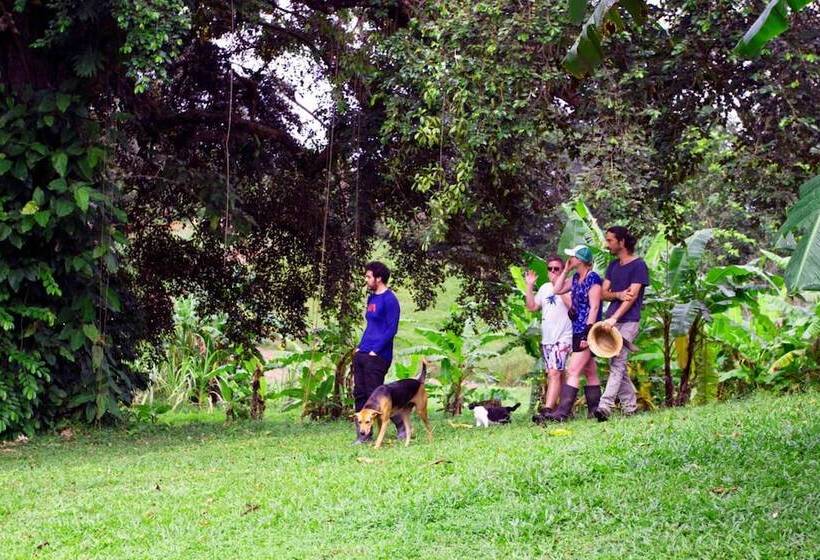 هتل El Caribeo Nature Lodge