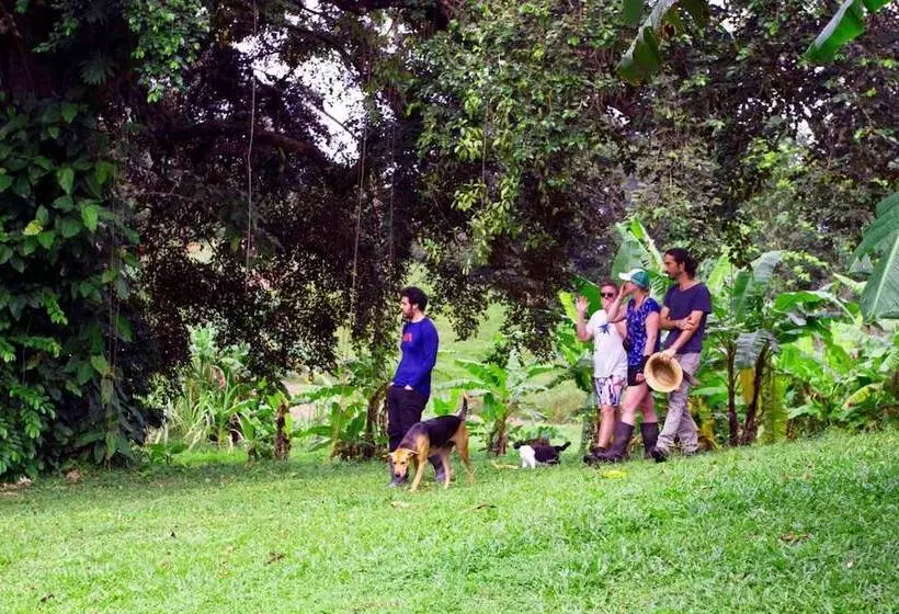 ホテル El Caribeo   Nature Lodge