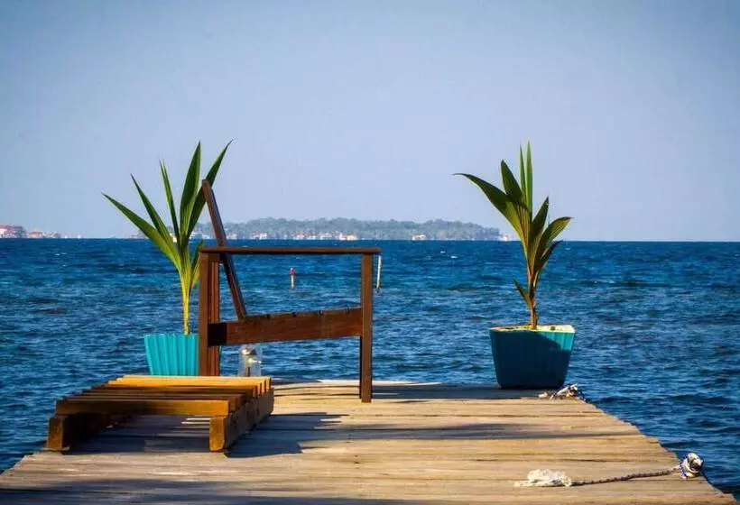 ホテル El Caribeo   Nature Lodge