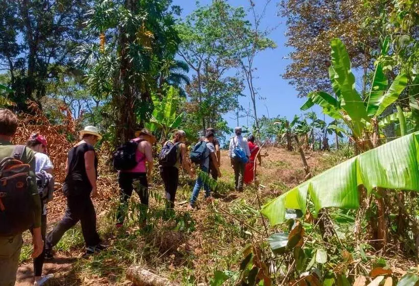 ホテル El Caribeo   Nature Lodge