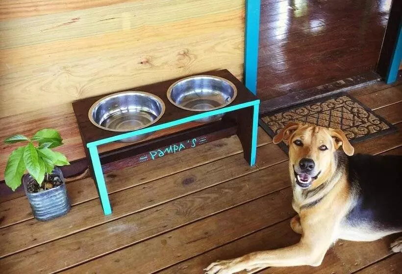 ホテル El Caribeo   Nature Lodge