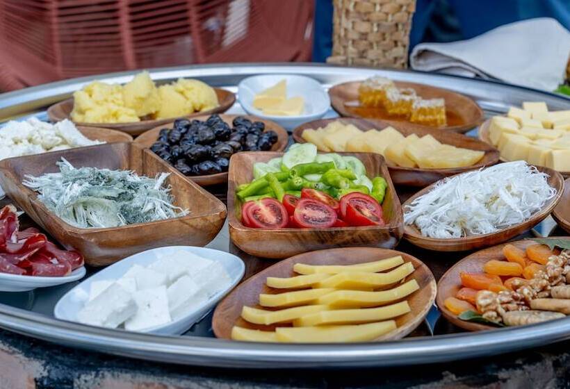 בית מלון כפרי Grand Ani