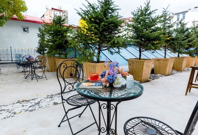 בית מלון כפרי Grand Ani