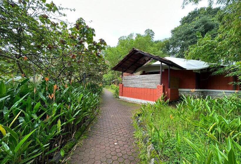 Отель Kadkani River Resort