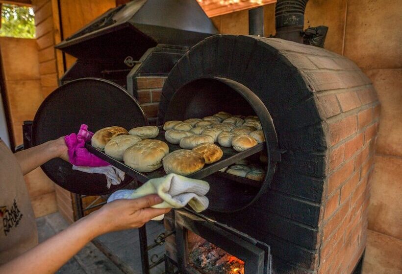 Szálloda Olmué Natura Lodge & Spa