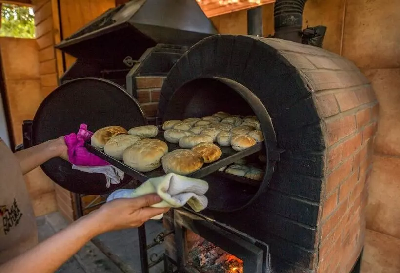 Hotelli Olmué Natura Lodge & Spa