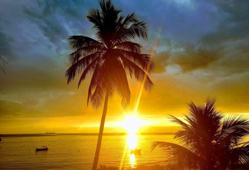 Отель Pousada Tony Montana