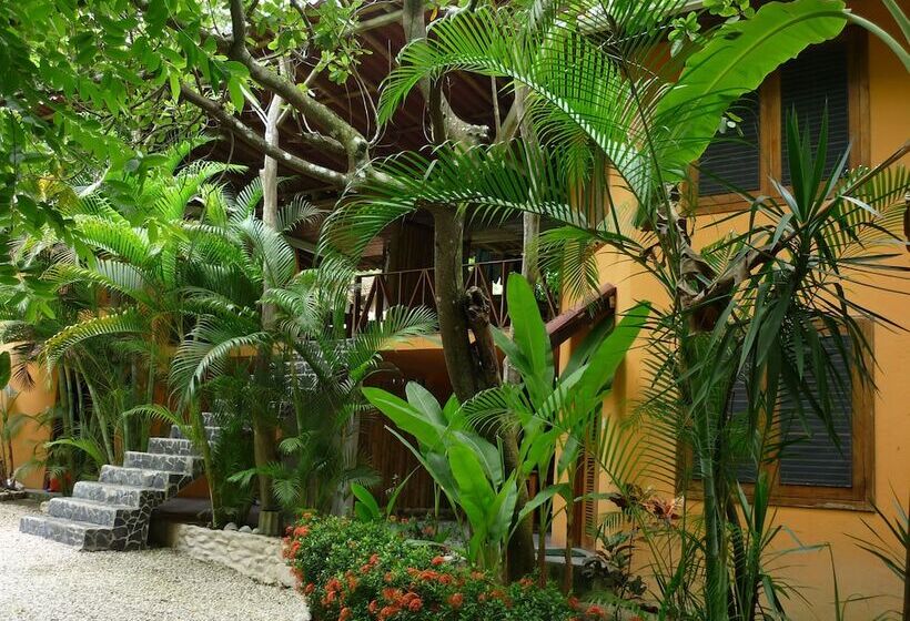 فندق B&b Ranchos Itaúna