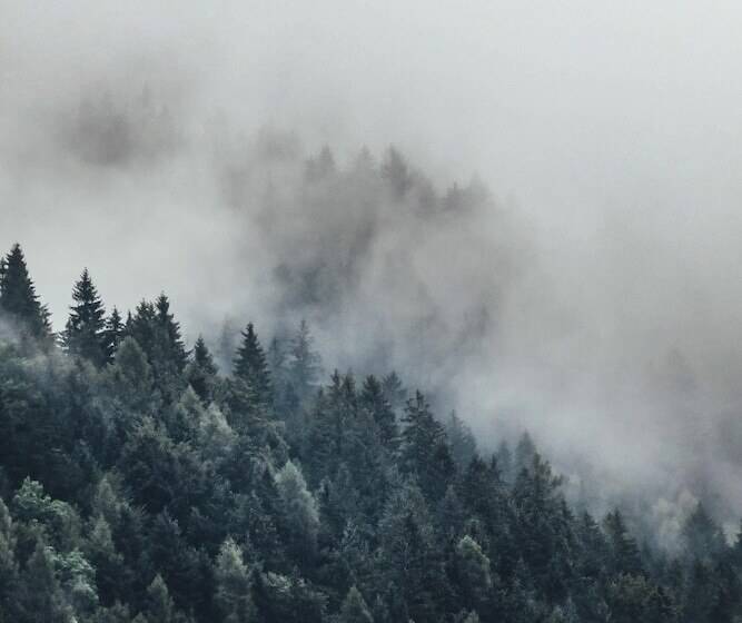 호텔 Sissi Suites Luxury Apartments