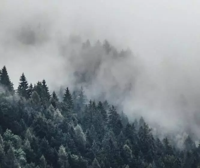 ホテル Sissi Suites Luxury Apartments