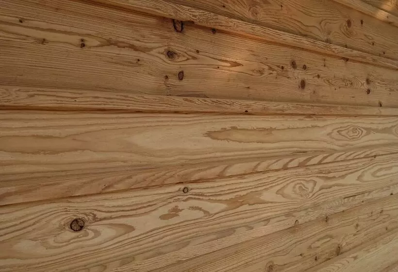 ホテル Sissi Suites Luxury Apartments