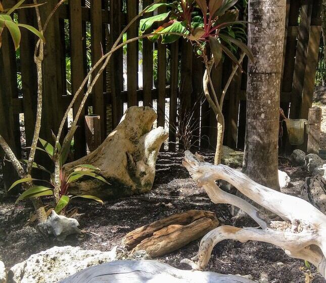 בית מלון כפרי Tri Casa De Suenos