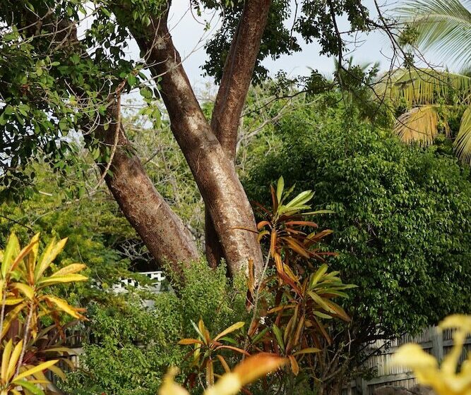 בית מלון כפרי Tri Casa De Suenos