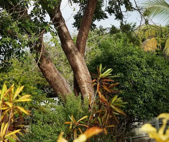 Hotelli Tri Casa De Suenos