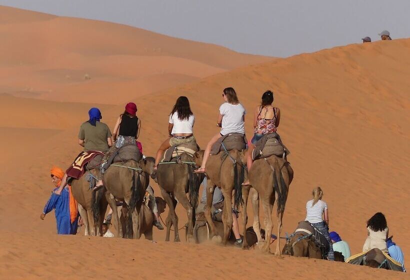 Pensió Auberge Les Roches