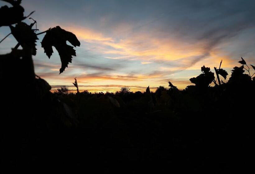 Пансион Gîte Guy