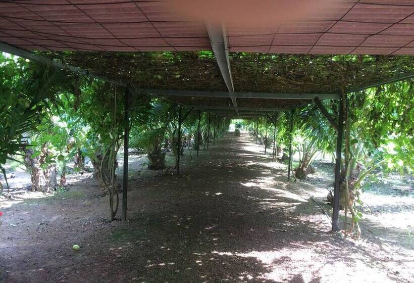 פנסיון Kelulut Lodge