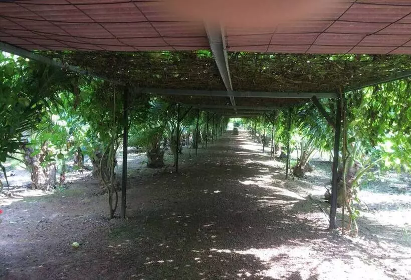 Majatalo Kelulut Lodge