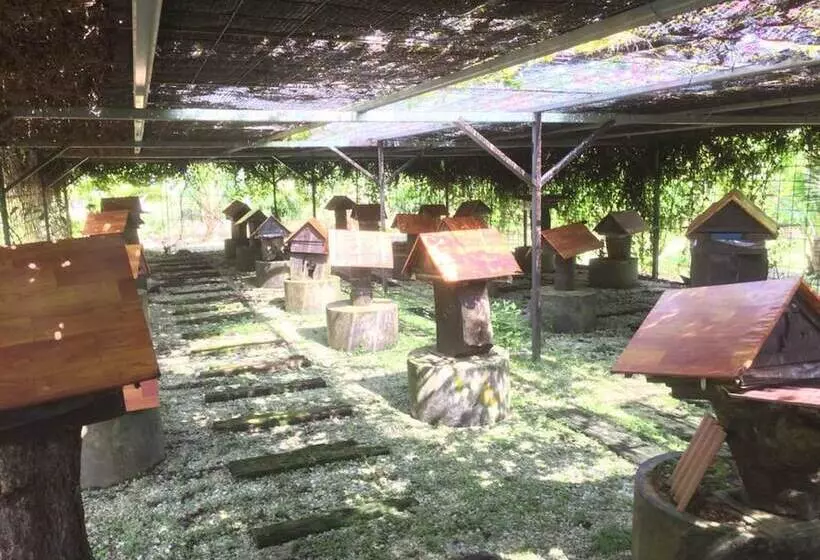 Majatalo Kelulut Lodge