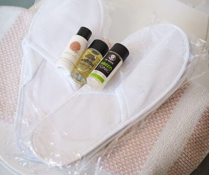 پانسیون Sourediko