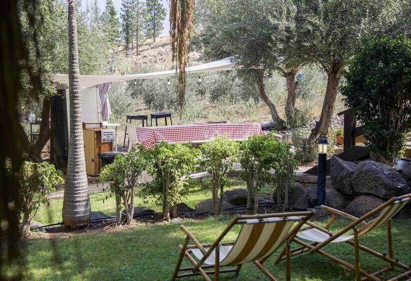 بنسيون Talma Boutique