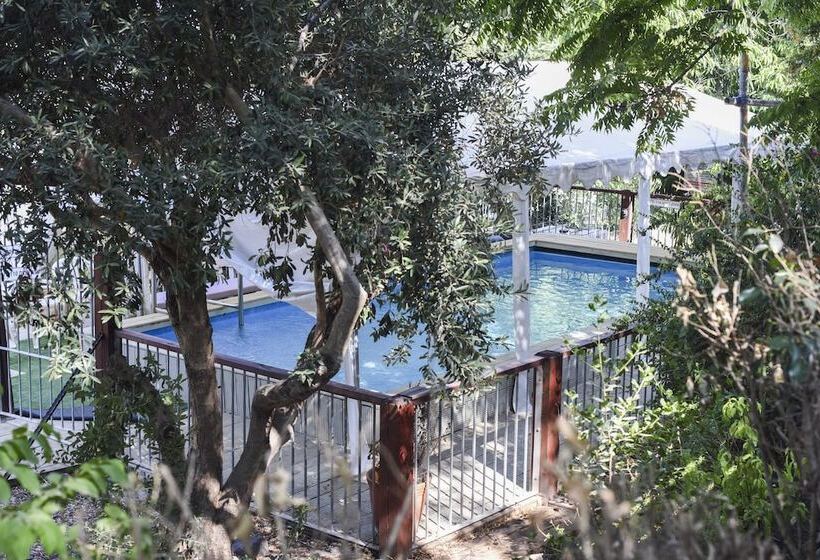 بنسيون Talma Boutique