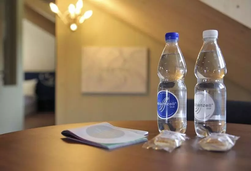 Majatalo Weissbad Lodge