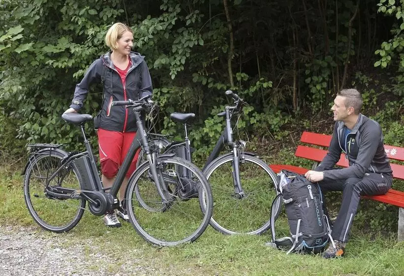 Majatalo Weissbad Lodge