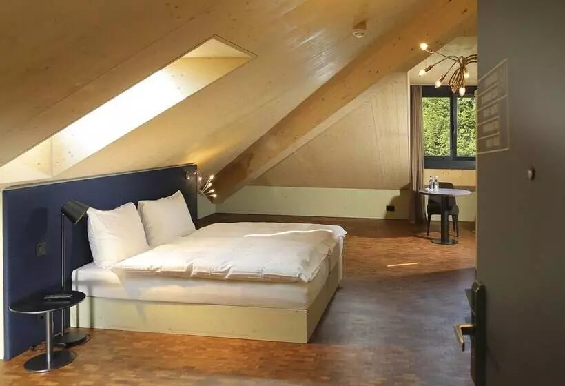 Majatalo Weissbad Lodge