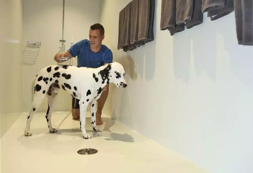 Majatalo Weissbad Lodge