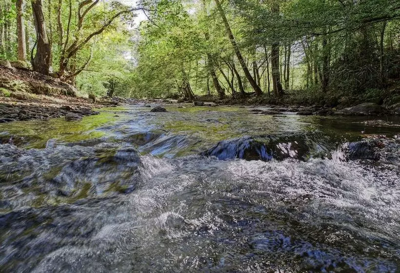 Whispering Creek   2 Bedrooms, 1 Baths, Sleeps 6 Cabin By Redawning