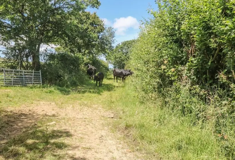 Lower West Curry Farmhouse