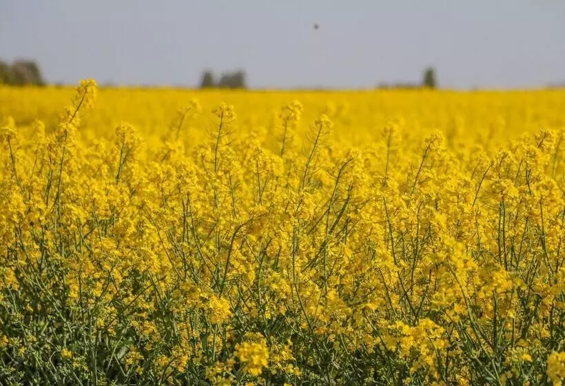 1 Pines Farm Cottages