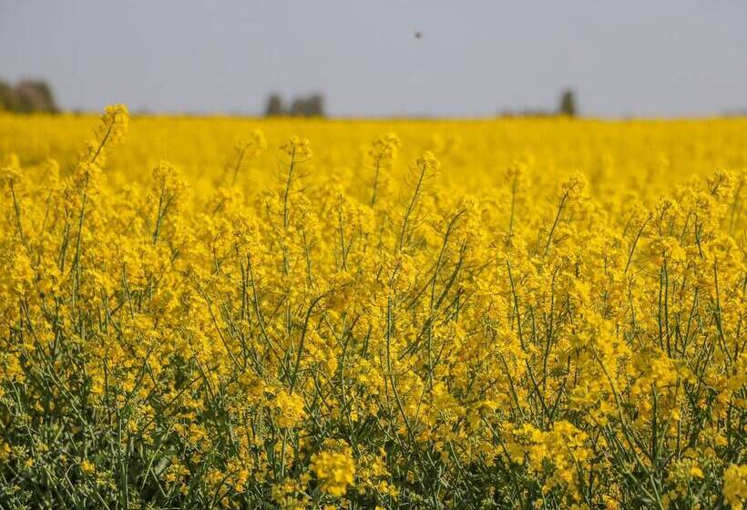 1 Pines Farm Cottages