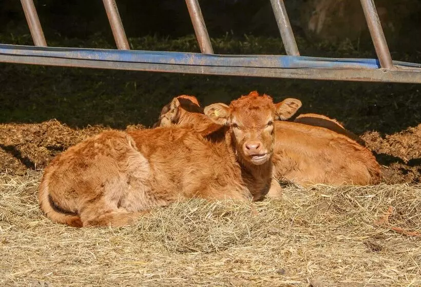 1 Pines Farm Cottages