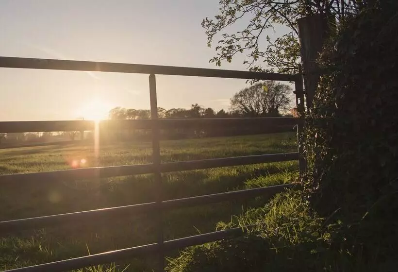 Llaethdy   The Dairy