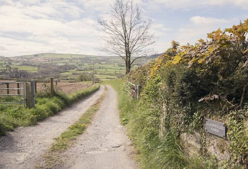 Llaethdy   The Dairy