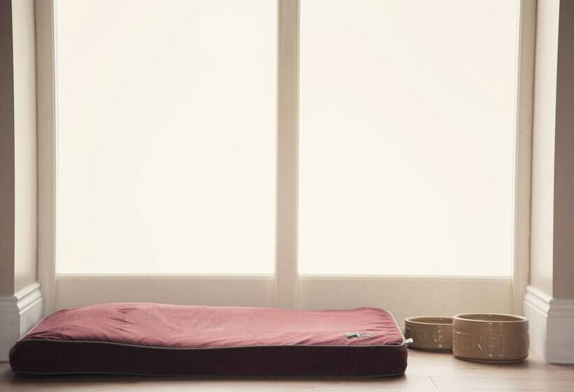 Llaethdy   The Dairy