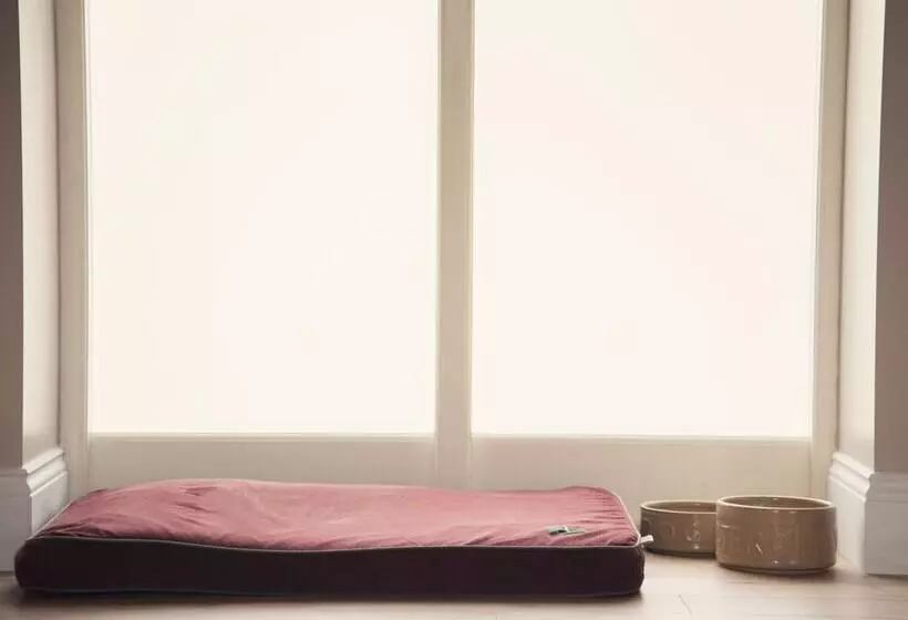 Llaethdy   The Dairy