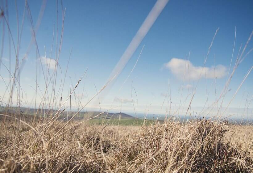 Llaethdy   The Dairy