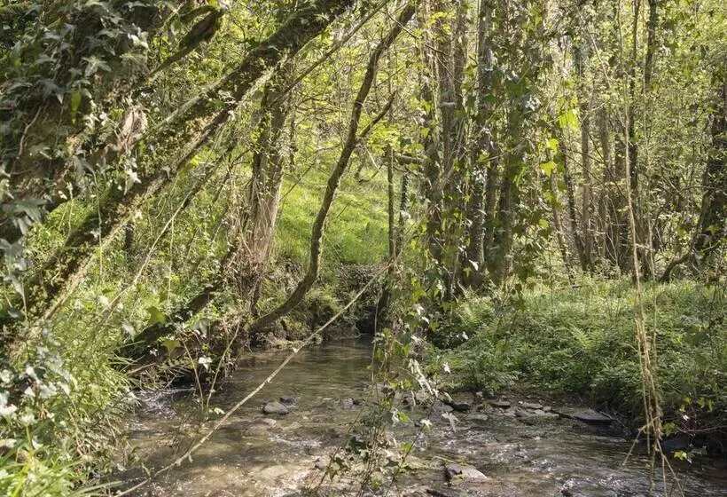 Llaethdy   The Dairy