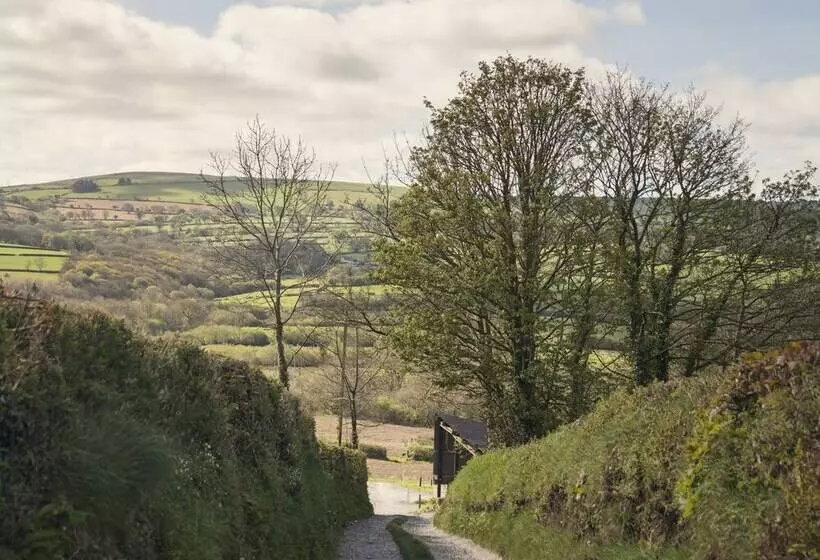 Llaethdy   The Dairy