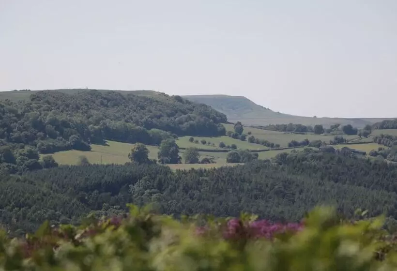 Middlegate